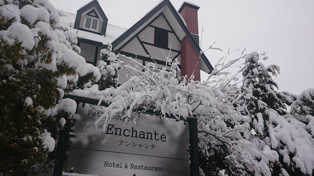 Petit Hotel Enchante Hakuba Exteriér fotografie